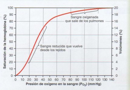Curva_disociación_hemoglobina